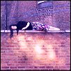 Portobello Wall art